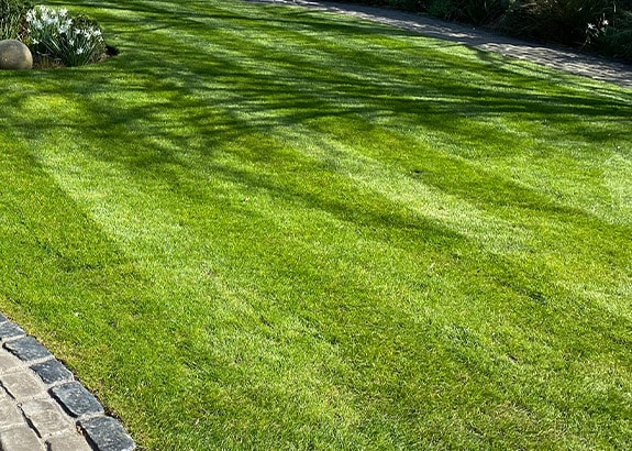 turfing-services